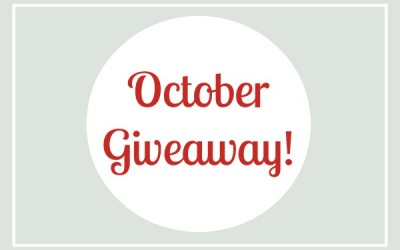 October Giveaway: Win this Awesome Packing Organizer!