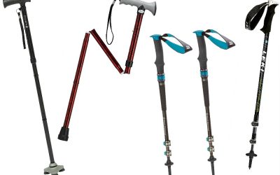 Best Walking Sticks for Travel